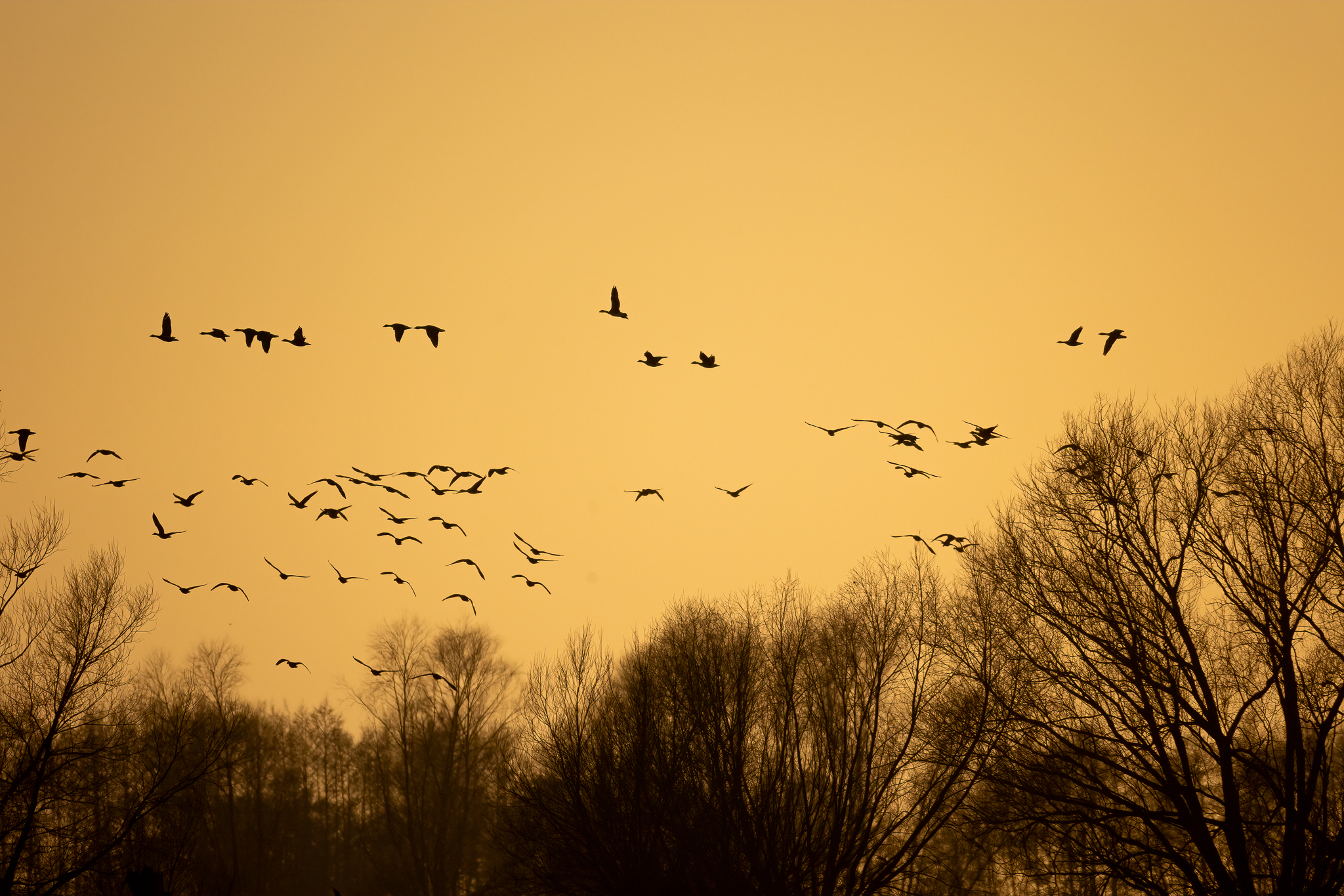 _K9A0036-Edit.jpg
