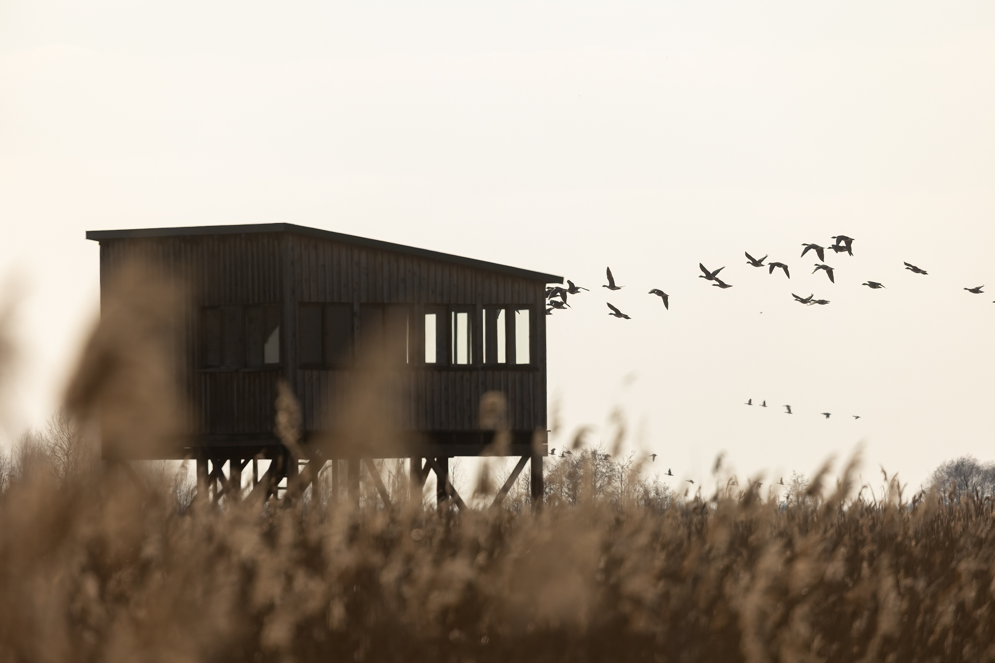 _K9A2995-Edit.jpg