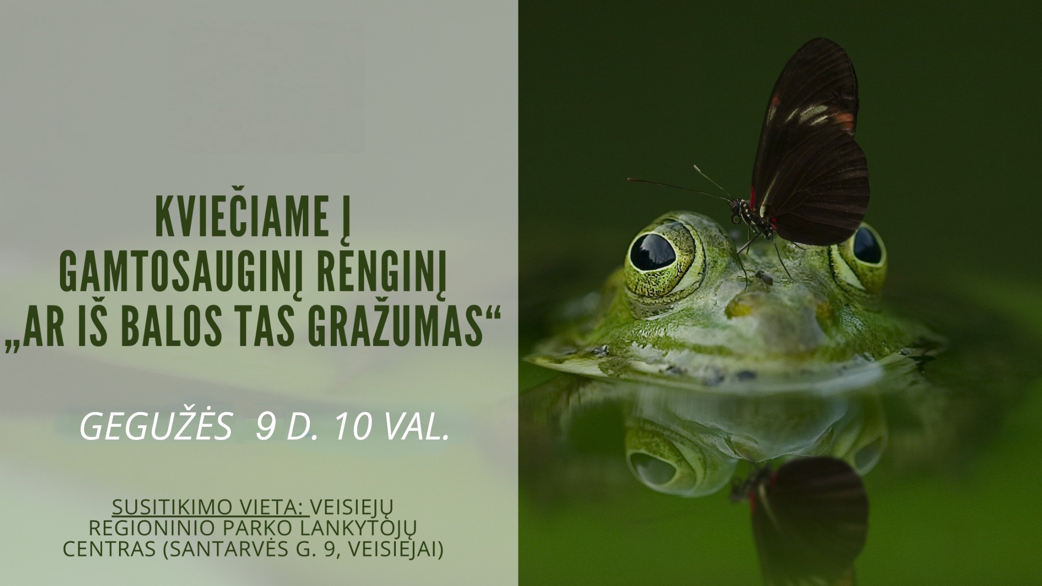 VARLIAGYVIAI1.jpg