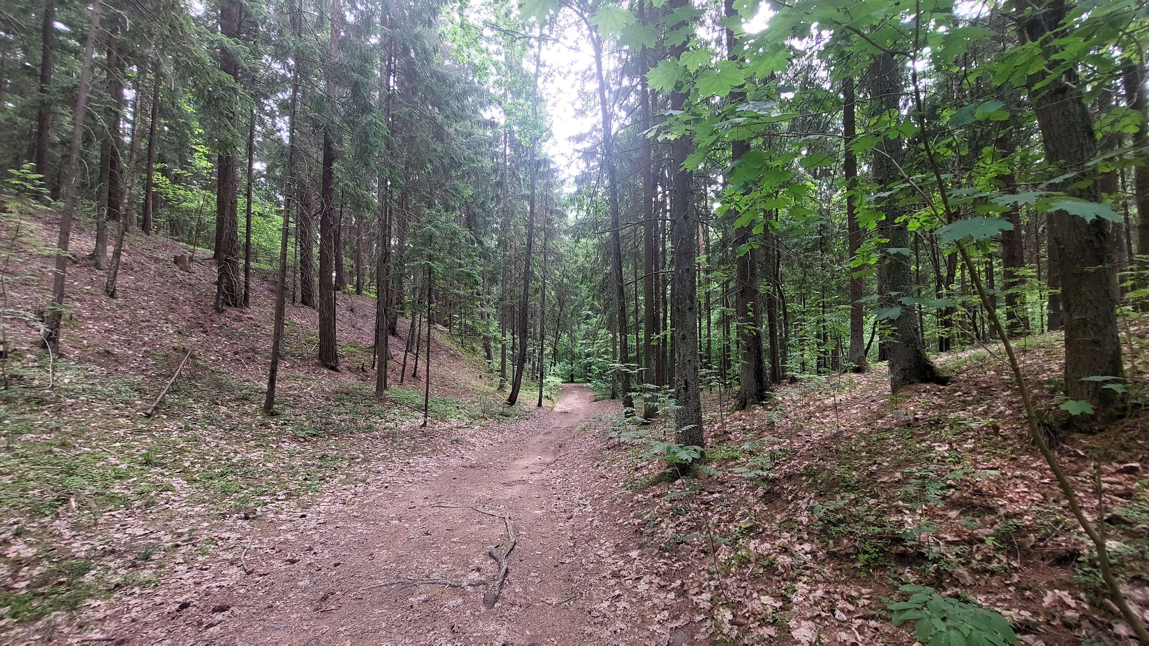 Kalvotas ir daubotas Vanaginės geomorfologinio draustinio reljefas (2).jpg