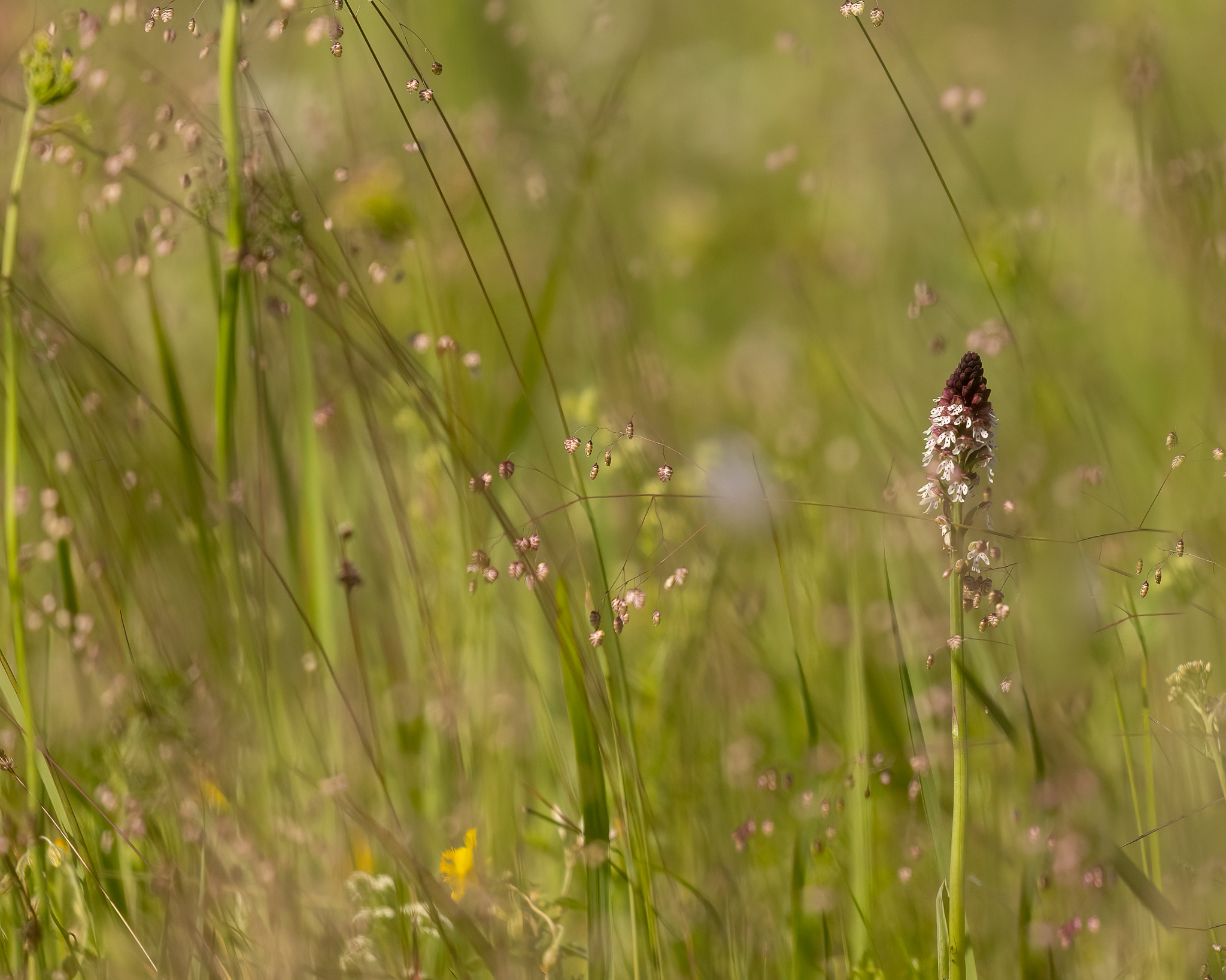 _K9A5353-Edit.jpg