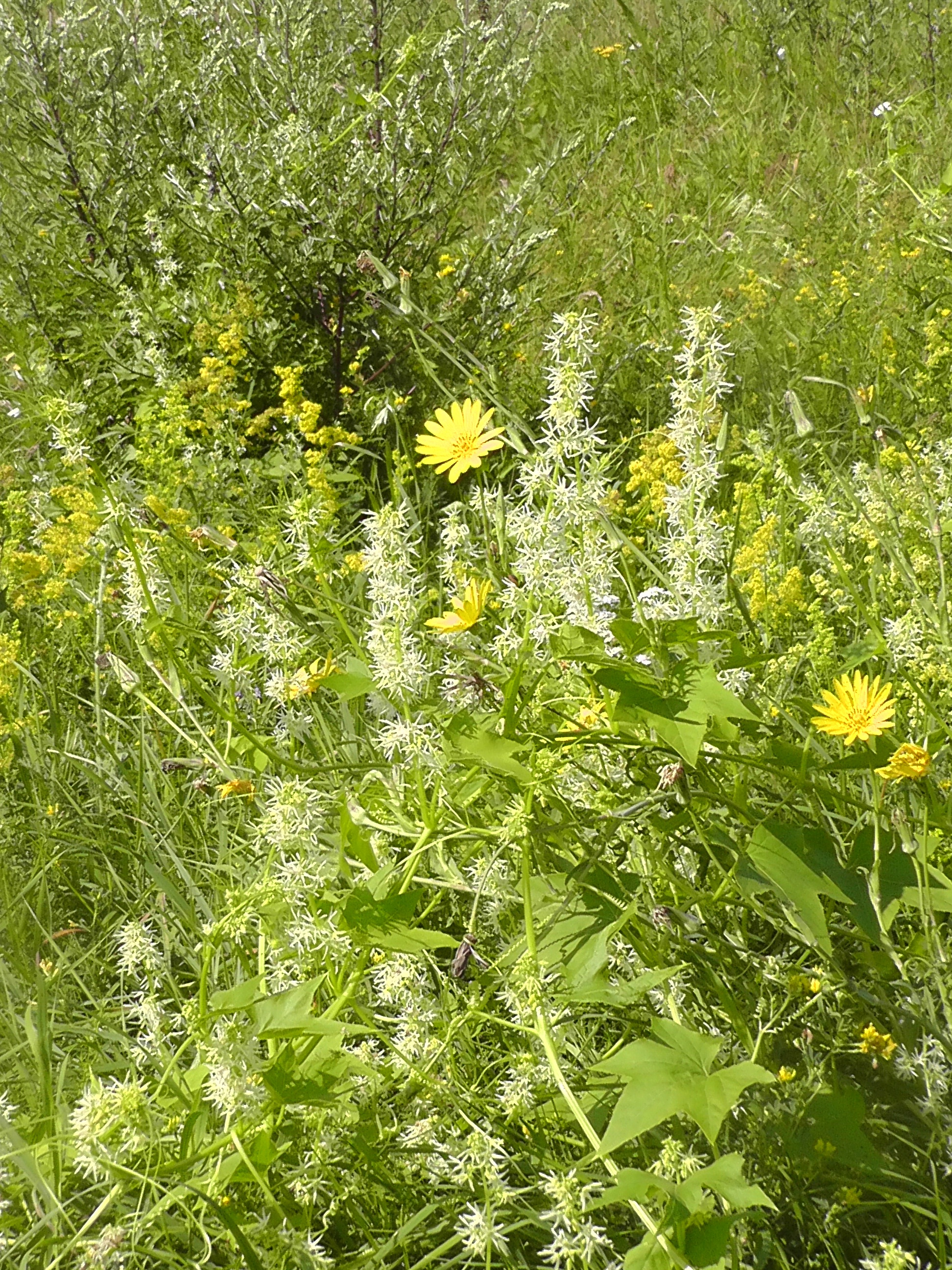 S3520006.JPG