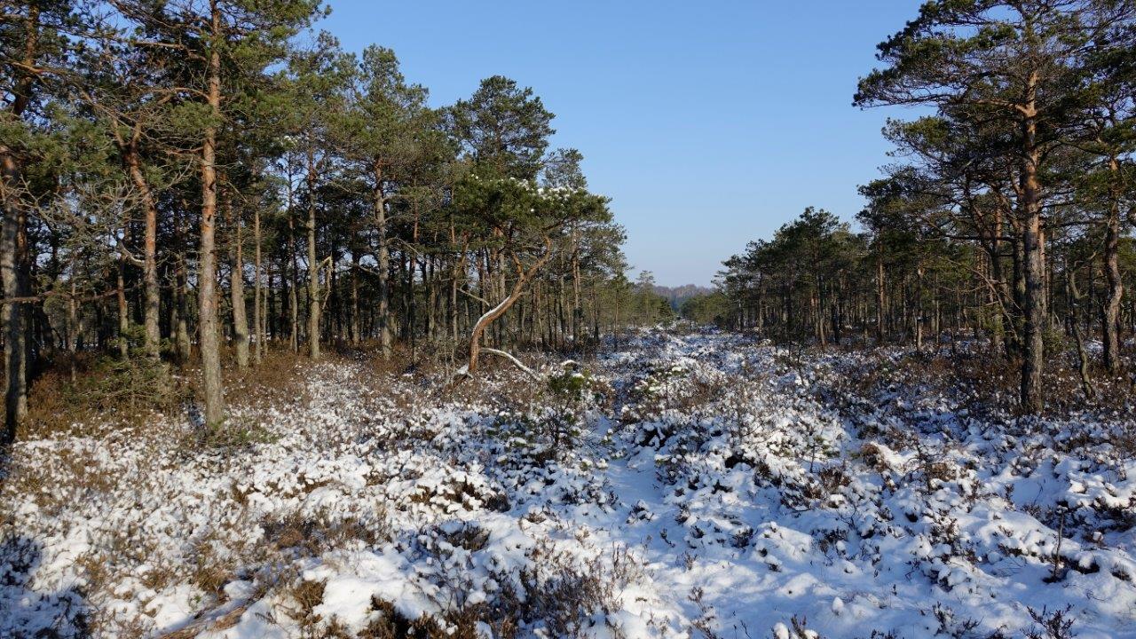 _DSC8685.jpg
