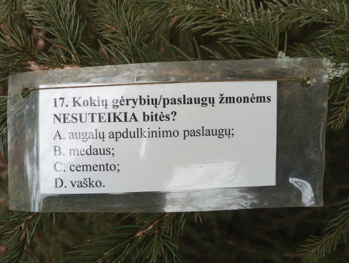 Meteliu_RP_orientac_zaidimo_klausimas_17_1200.jpg