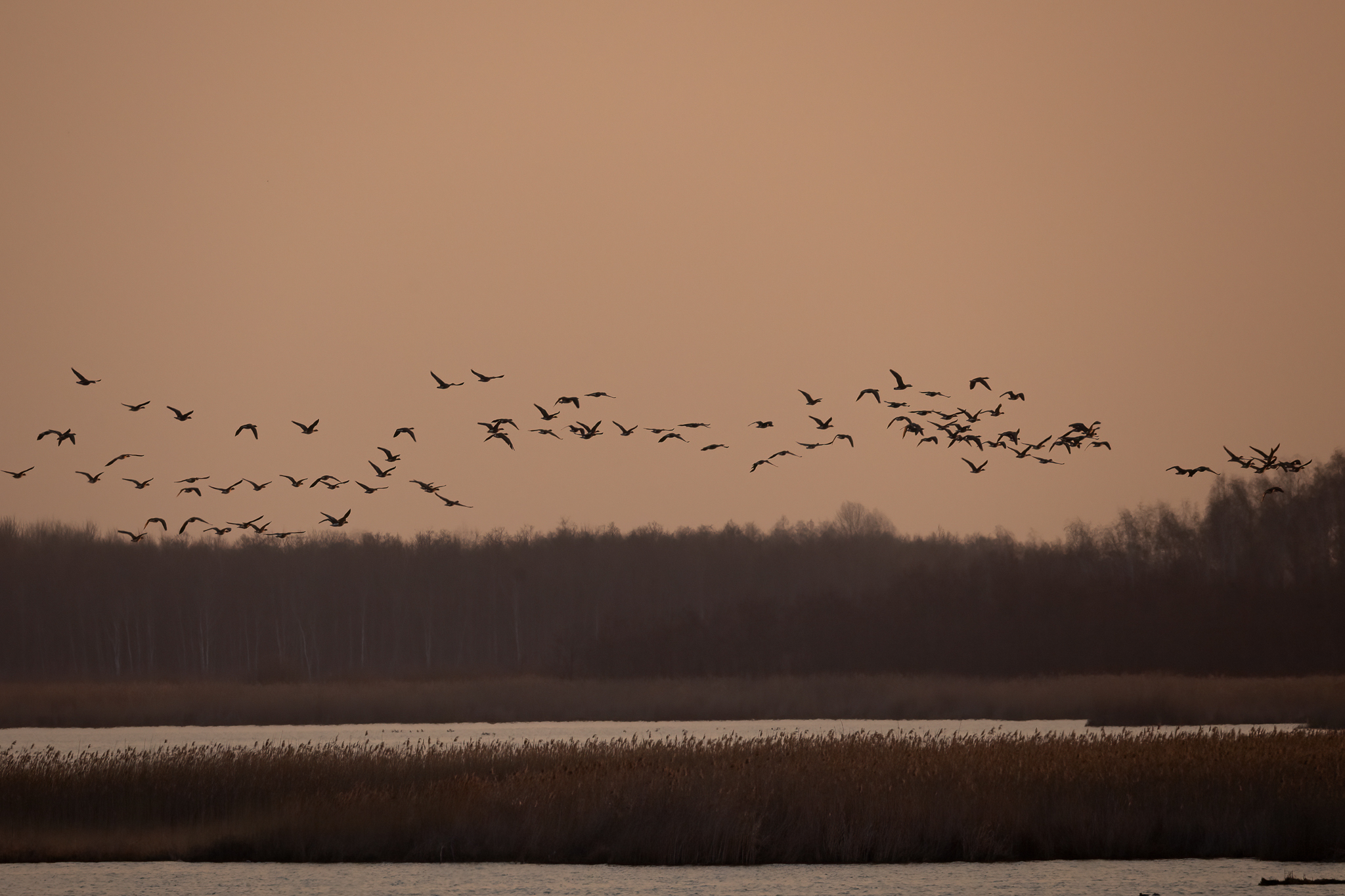 _K9A8048-Edit.jpg
