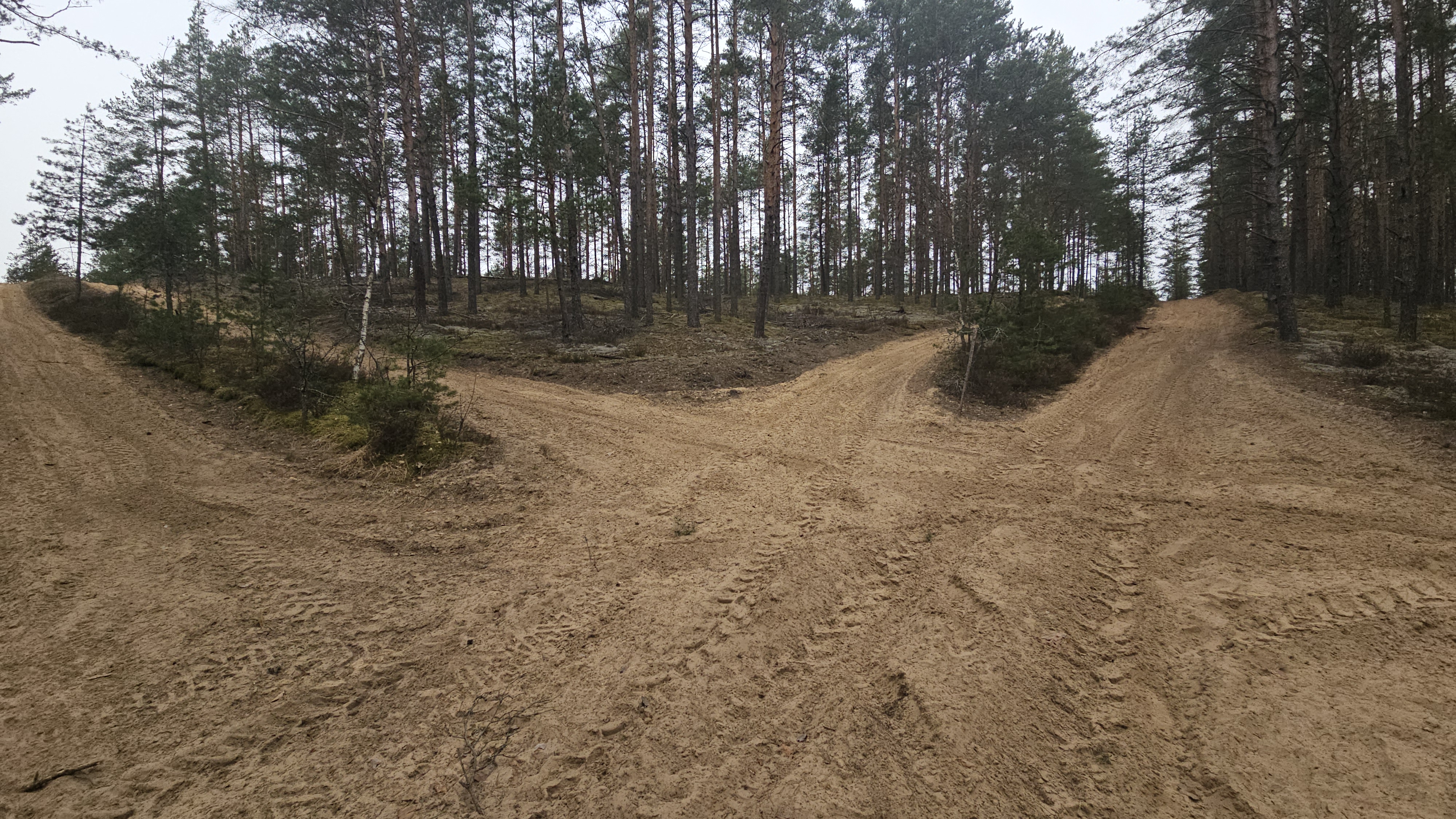 Keturračių išvažinėti keliai Taurijos ornitologiniame draustinyje.jpg