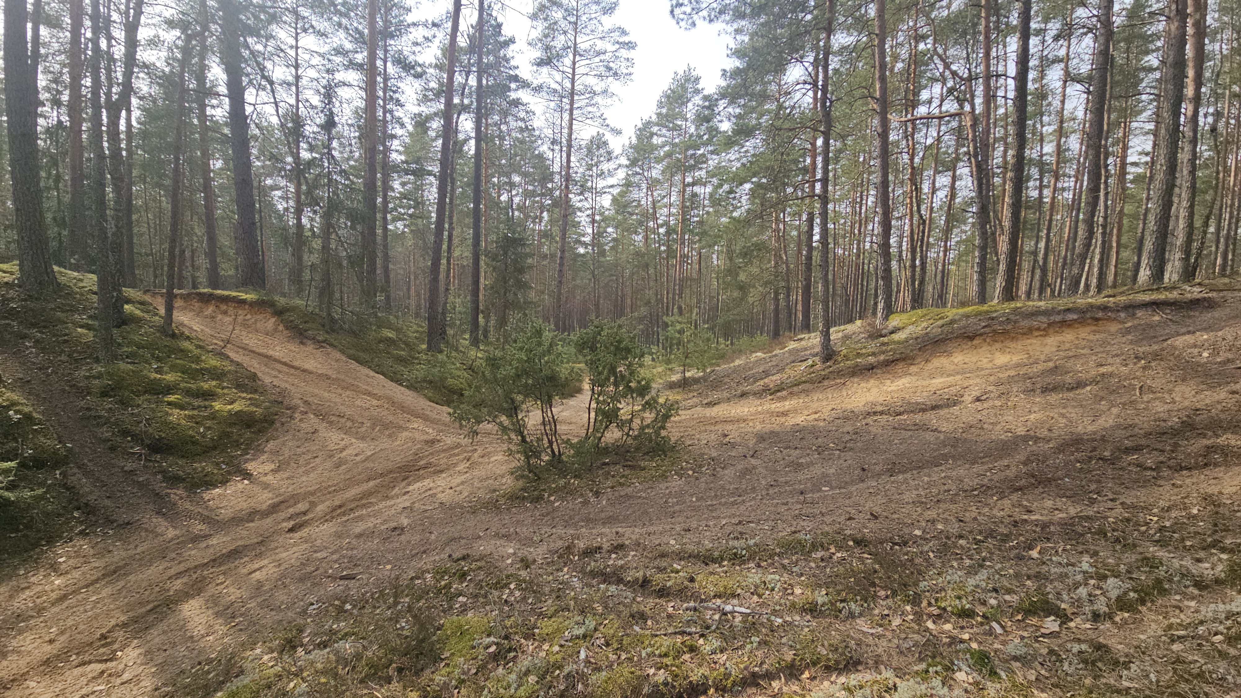 Keturračių trasa Skersabalių geomorfologiniame draustinyje.jpg