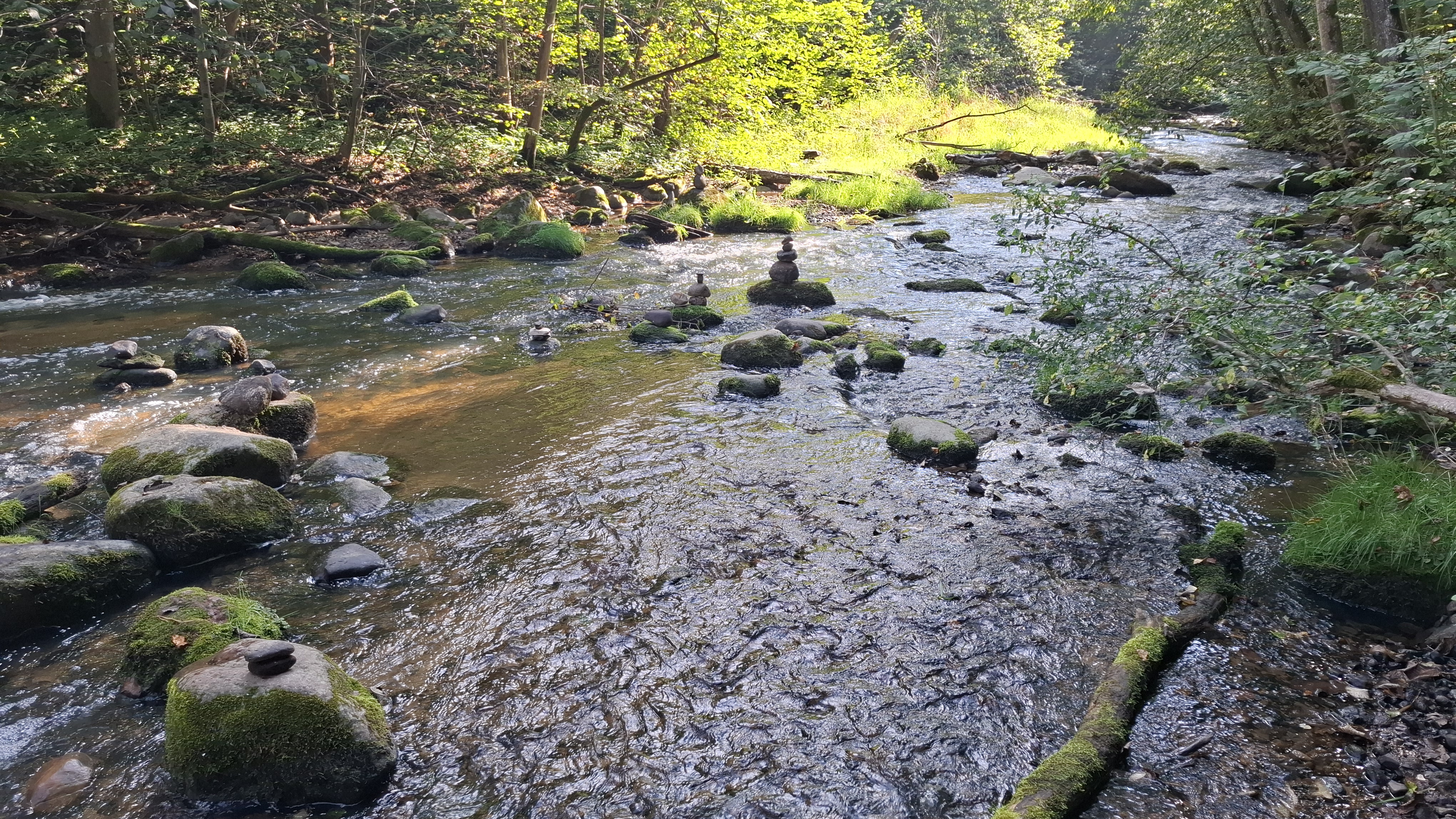 4. Dūkšta.jpg