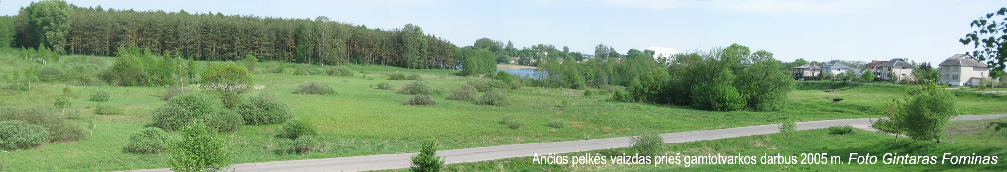 Šiaurinė 2005.jpg