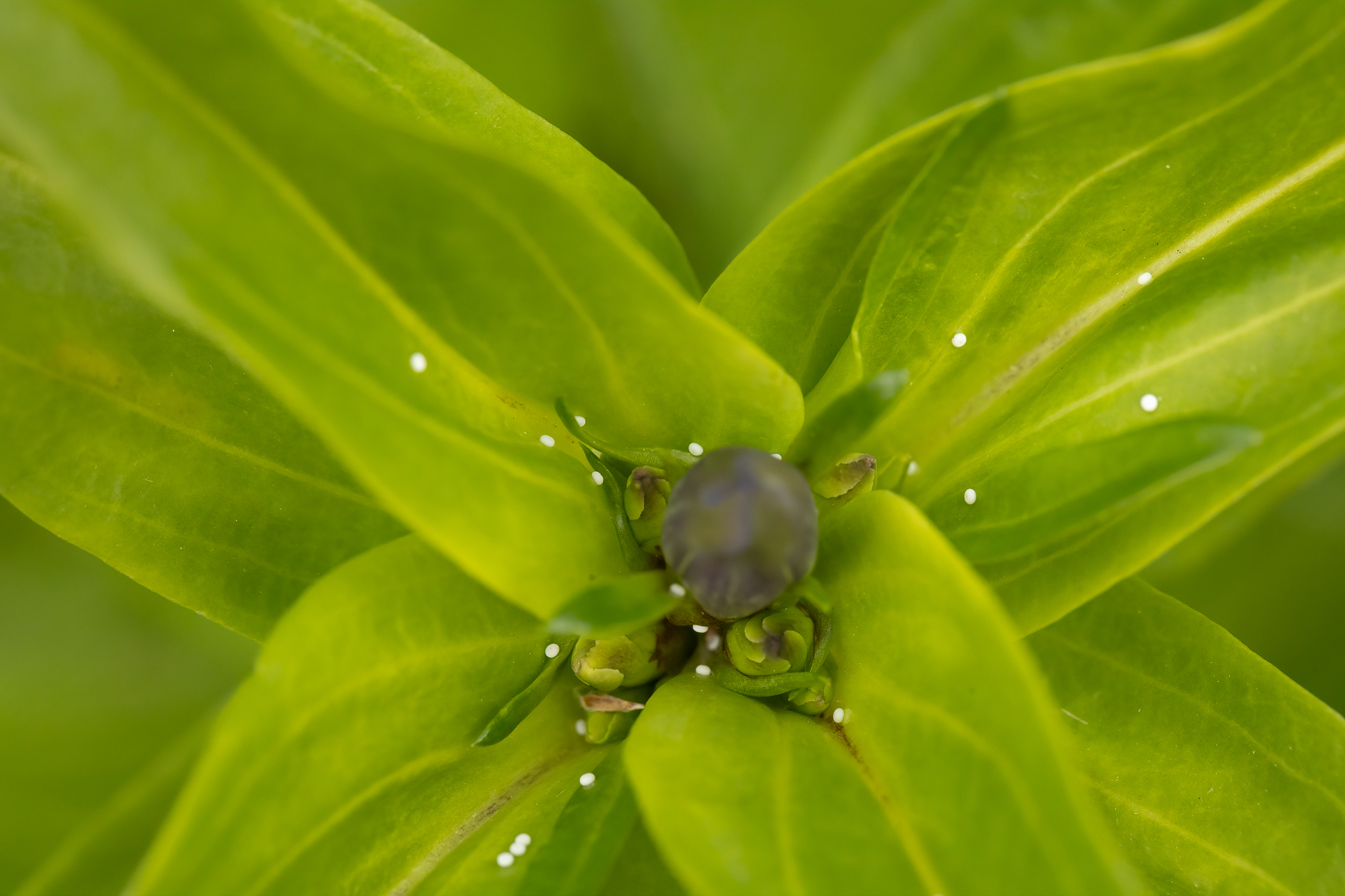 _K9A6368-Edit.jpg