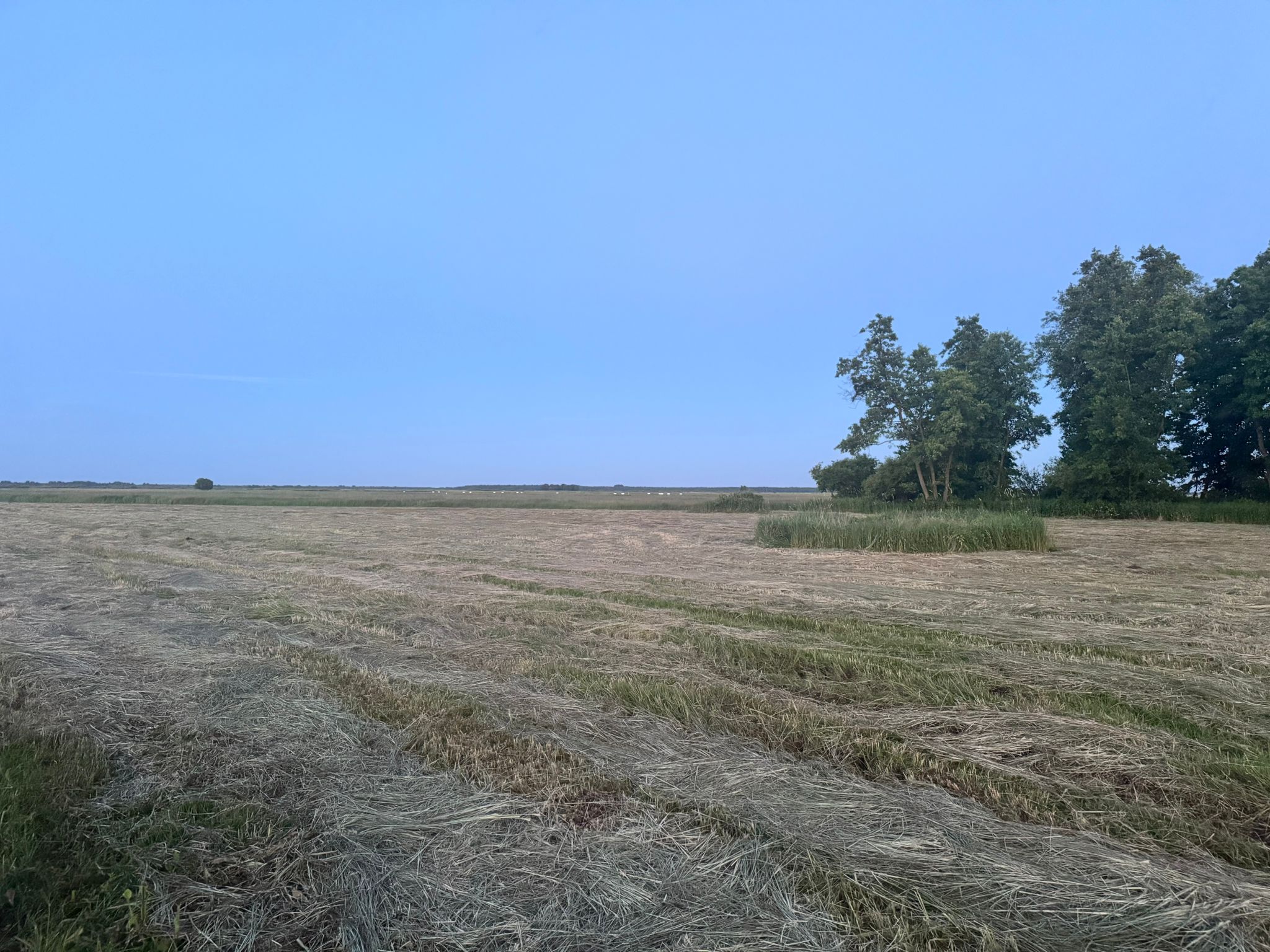 nuzienautas-laukas-BebrozNP.JPG