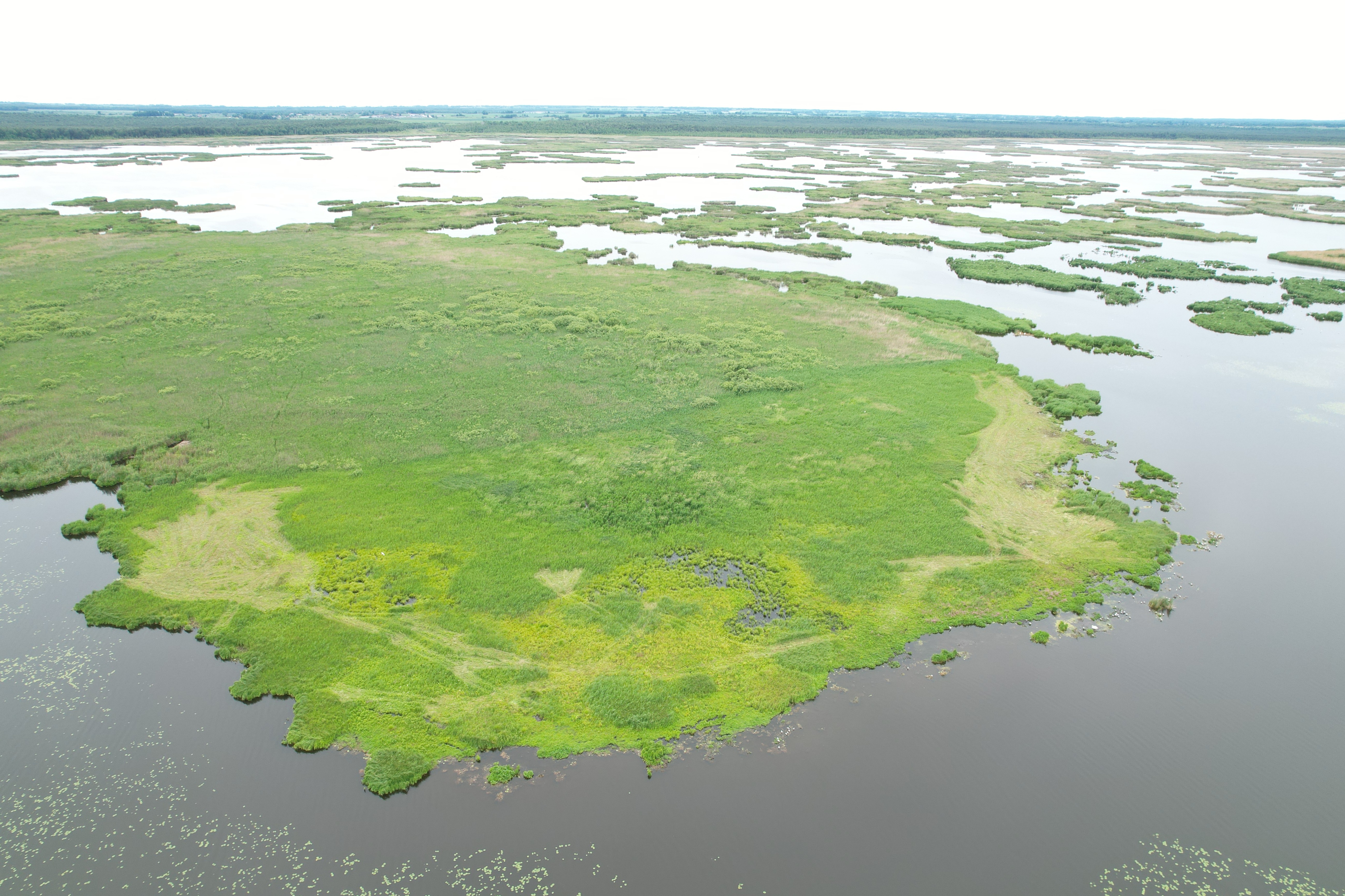 DJI_0680.JPG