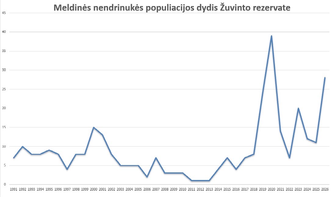 Meldinės nendrinukės populiacijos dydis Žuvinto biosferos rezervate.jpg