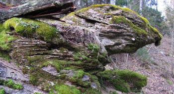 Ausiutiskiu-konglomeratas-kirptas-350x190.jpg