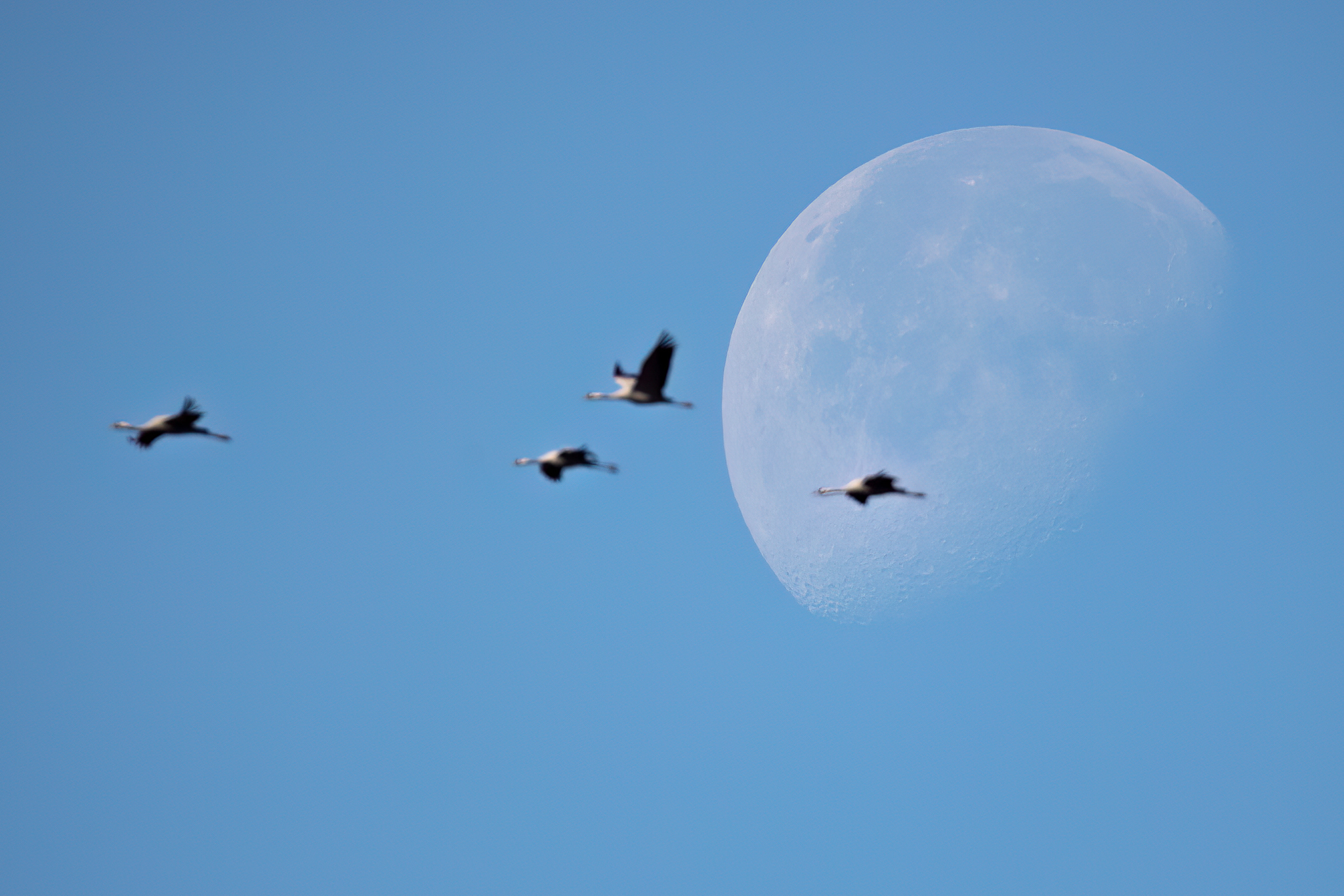 _K9A7536-Edit.jpg
